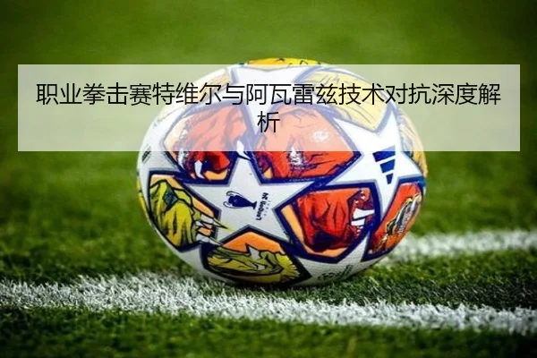 职业拳击赛特维尔与阿瓦雷兹技术对抗深度解析